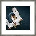 Anchor Stowed Framed Print