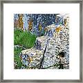 Ancient Stairs Framed Print