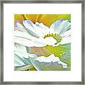 Angel Flowers Framed Print