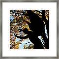 Angel Statue Silhouette In Old Necropolis Framed Print