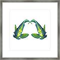 Angelfish - Like Twins, So Close And Intense - Reduced To The Max - Framed Print