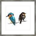 Angry Couple Framed Print