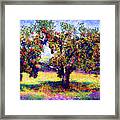 Apple Tree Orchard Framed Print