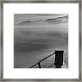 Approaching The Pelicans Framed Print
