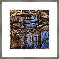 Arabia Mountain Creek Look Framed Print