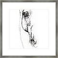 Arabian Horse Sketch 2014 05 24 D Framed Print