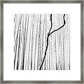 Arashiyama Bamboo Forest. Kyoto, Japan Framed Print