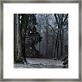 Arboreal Kindred Spirits Framed Print