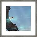 Art - Bird Of Freedom Framed Print