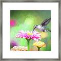 Artful Hummingbird Framed Print