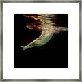 Artist Magically Floating With Her Flute 43 Framed Print