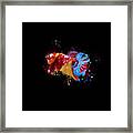 Artistic Nemo Multicolor Betta Fish Framed Print