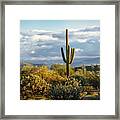 As The Desert Awakens Framed Print