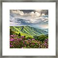 Asheville Nc Blue Ridge Parkway Spring Flowers Framed Print