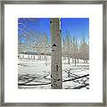 Aspen Meadow Springtime, Utah Framed Print