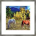 Aspen Pasture Framed Print