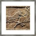 Assyrian Lion Hunt 02 Framed Print