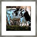 At The End Of The Day - Black And White Cow Framed Print