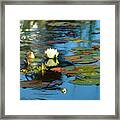 At The Lily Pond Framed Print