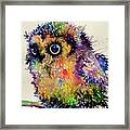Atticus The Owl Framed Print