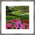 Augustaazaleas16th And 15th Framed Print