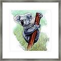 Australian Koala Framed Print