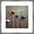 Autumn Gifts Framed Print
