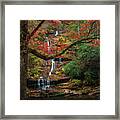 Autumn At Tom Branch Falls Framed Print