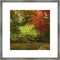 Autumn At Wildwoods Framed Print