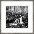 Autumn Cascades Of Amicalola Falls Black And White Framed Print