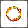 Autumn Circle Framed Print