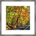 Autumn Colors Along A Road Framed Print