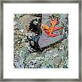 Autumn Colors Framed Print