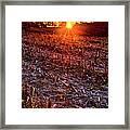 Autumn Corn Fields Vertical Framed Print