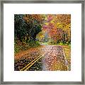 Autumn Drive Ii Framed Print