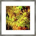 Autumn Ferns Glowing In The Blue Ridge Sun Framed Print