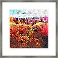 Autumn Field Framed Print
