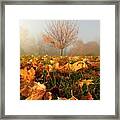 Autumn Fog Framed Print