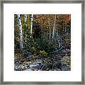 Autumn Foliage In The Sierras Framed Print