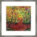 Autumn Forest Sunlight Framed Print