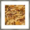 Autumn Ginkgo Leaves Framed Print