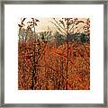 Autumn Grass Framed Print