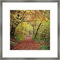 Autumn, In A Nutshell Framed Print