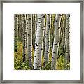 Autumn In-between Framed Print