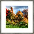 Autumn In Inveresk Framed Print