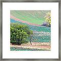 Autumn In South Moravia 9 Framed Print