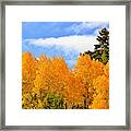 Autumn In The Owyhee Mountains Framed Print