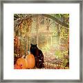 Autumn Kitty Framed Print