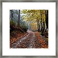 Autumn Landscape With Trees And Autumn Leaves On The Ground After Rain Framed Print