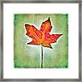 Autumn Leaf Framed Print